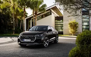 Audi Q8 55 TFSI e quattro car wallpapers